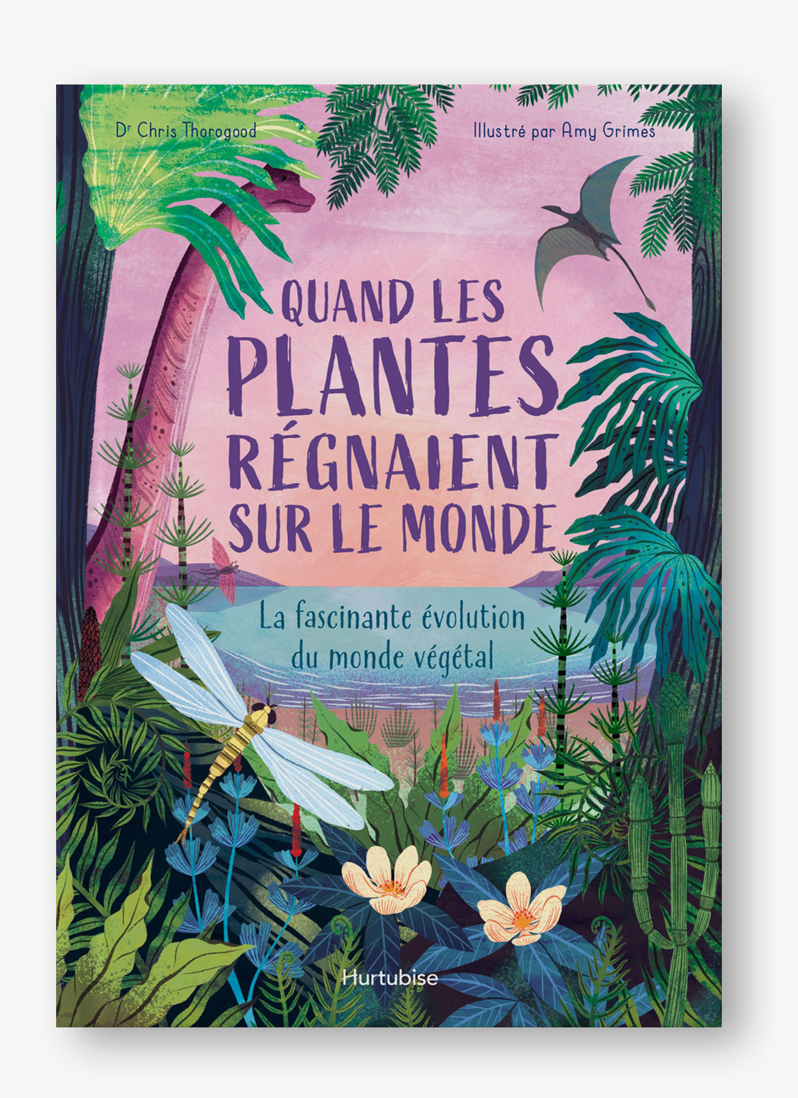 Tout sur les plantes Éditions Hurtubise